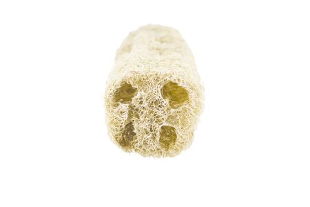 Luffa Scrub isolated on white backgoundの写真素材