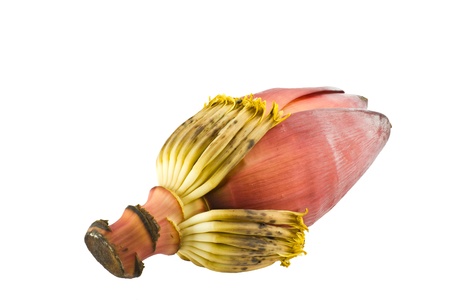 banana flower isolated on whiteの写真素材