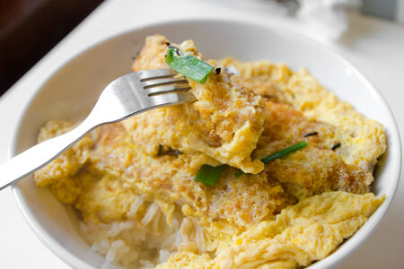 pork cutlet , vegetable and egg on rice , japanese food Katsudonの写真素材