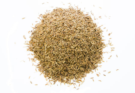 Cumin Seeds on white background