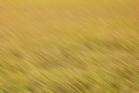 yellow color blurry abstract backgroundの写真素材