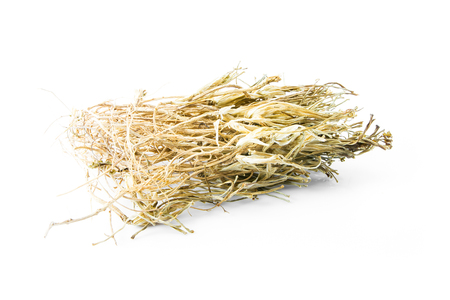 dried coriander root on white backgroundの写真素材