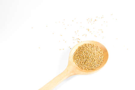 mustard seed on white backgroundの写真素材