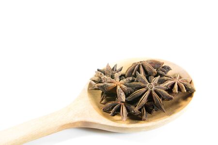 anise spice on white backgroundの写真素材