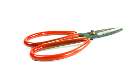 old rusty scissors on white backgroundの写真素材