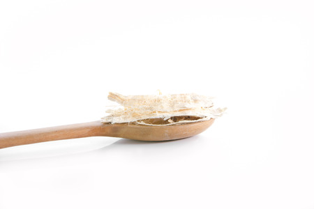 Pueraria mirifica,White Kwao Krua,Pueraria candollei Graham ex Benth. var mirifica  on white backgroundの写真素材