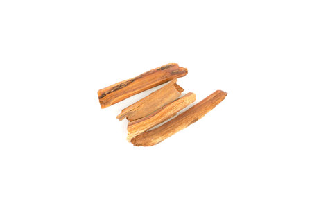 Anaxagorea luzonensis A.Gray on white backgroundの写真素材