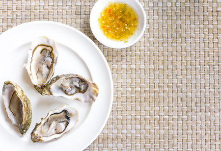 open fresh oysters on white plateの写真素材