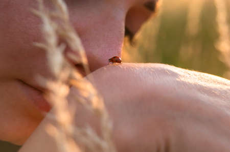 Woman playing with ladybug walking on the skinの写真素材