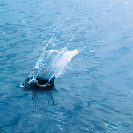 Impact splash on water surface