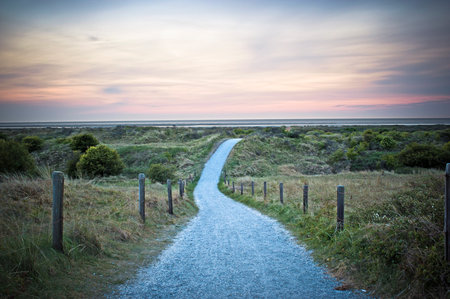 Gravel path leading to sea through green dunes at sunsetの写真素材