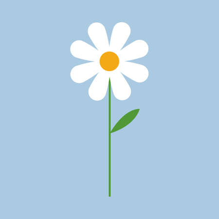 Camomile flower isolated on blue background. Vector illustration. Flat styleのイラスト素材