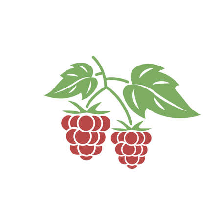 Raspberry. Vector illustration of raspberry icon with leaves isolated on white backgroundのイラスト素材