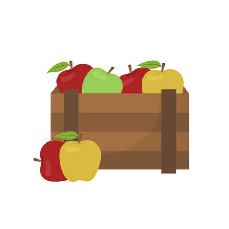 Box with apples fruits, yellow, green, red. Wooden crate full of ripe juicy apples on white backgroundのイラスト素材