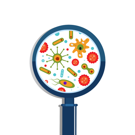Magnifier and bacteriaのイラスト素材