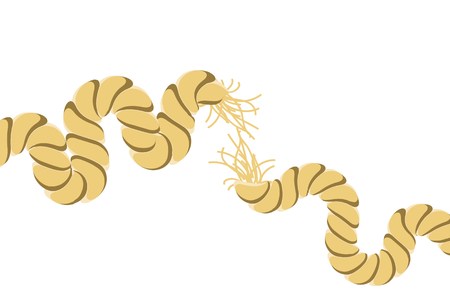 torn ropeのイラスト素材