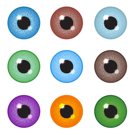 Realistic eyeball set. Vector illustration.のイラスト素材