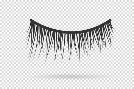 Feminine lashes vector. False eyelashes hand drawn.のイラスト素材