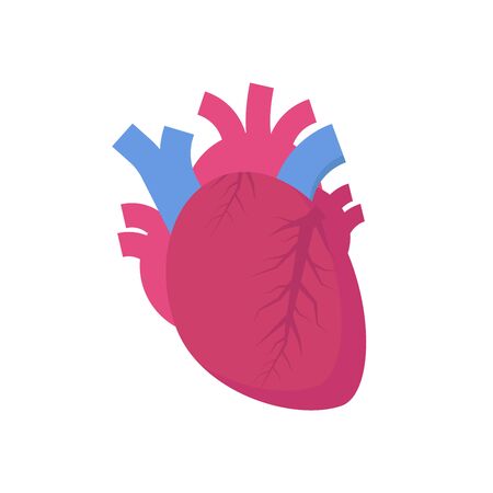 Human heart icon. Vector illustrationのイラスト素材