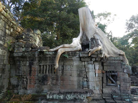 Preah Khan, Siem Reap Province, Cambodiaの写真素材