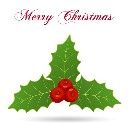 Christmas hollyのイラスト素材