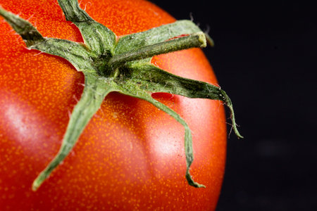 Particular Tomato black backgroundの写真素材