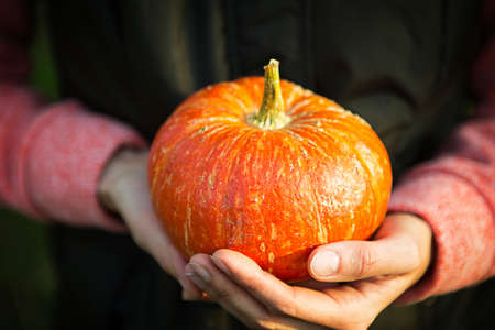 Orange round pumpkin in women's hands on a dark green background. Autumn harvest festival, farming, gardening, thanksgiving, Halloween. Warm atmosphere, natural products. Space for textの写真素材