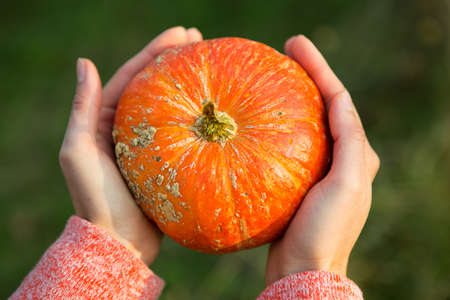Orange round pumpkin in women's hands on a dark green background. Autumn harvest festival, farming, gardening, thanksgiving, Halloween. Warm atmosphere, natural products. Space for textの写真素材