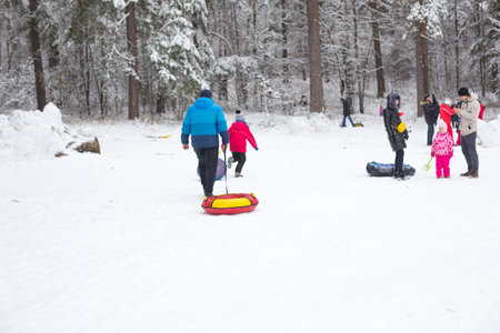People walk in snowy winter forest with their families, with skis, sleds, inflatable tubing, roll down hill, build fortress and a snowman. Winter outdoor activities. November 22, 2020-Kaluga, Russia.のeditorial素材