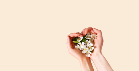 Women's hands with heart-shaped palms and white apple blossoms on a champagne pink background. spring time, love, tenderness. skin care, natural cosmetics. Banner, space for textの写真素材