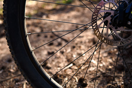 Bicycle wheel with elements closeup: disc brakes, spokes, reflector. Background on the theme of...