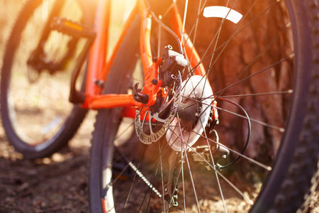 Bicycle wheel with elements closeup: disc brakes, spokes, reflector. Background on the theme of...