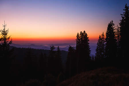 The silhouette of a fir tree against the background of a mountain valley and the orange and purple sky at dawn. Sunrise in the mountains, panoramic view.の写真素材