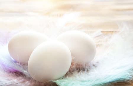 White chicken eggs on a wooden table in a nest of delicate pastel-colored feathers. Easter village background, natural eco-friendly products. Copy spaceの写真素材
