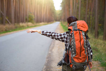 Female tourist in a checked shirt with an orange large backpack near a highway in the woods votes to get a ride. Hitchhiking, domestic tourism. Backpacker, adventure alone, trip, hikeの写真素材
