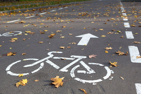 A bicycle path with a bicycle road sign and markings drawn on the asphalt. The autumn track in the...