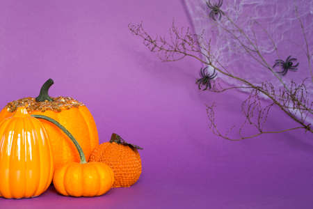 Halloween backgrounds of white, orange and gold pumpkins, spiders and dry branch on a purple background with cobwebs and terrible decor. Horror and a scary holidayの写真素材