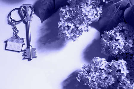 House key with keychain on blue spring background and lilac branches. Summer holiday home, booking cottage in the countryside, moving to new home, mortgage, rent and purchase real estate. Tourismの写真素材