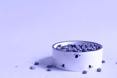 Pet food bowl with dry granulated food on a yellow background. Food for a cat or dog is poured into a white bowl. Copy space.の写真素材