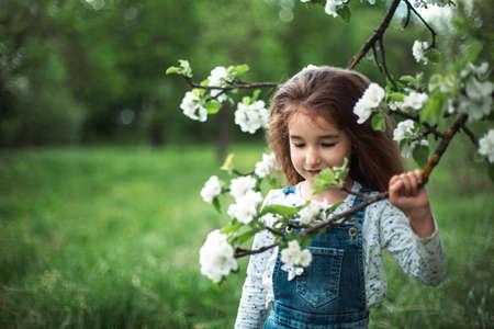 A cute little girl of 5 years old in a blooming white apple orchard in spring. Springtime, orchard, flowering, allergy, spring fragrance, tenderness, caring for nature. Portraitの写真素材