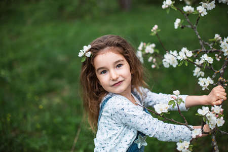 A cute little girl of 5 years old in a blooming white apple orchard in spring. Springtime, orchard, flowering, allergy, spring fragrance, tenderness, caring for nature. Portraitの写真素材