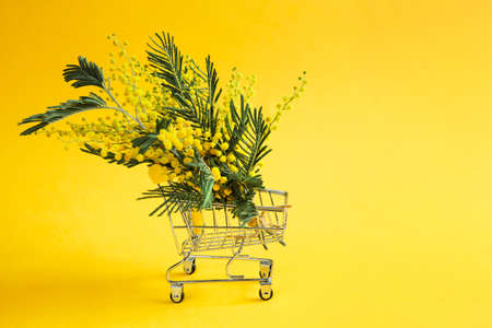 A yellow bouquet of mimosa in a supermarket cart. Buying a gift for International Women's Day, Spring Festival, March 8, Easter. copy spaceの写真素材