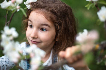 A cute little girl of 5 years old in a blooming white apple orchard in spring. Springtime, orchard, flowering, allergy, spring fragrance, tenderness, caring for nature. Portraitの写真素材