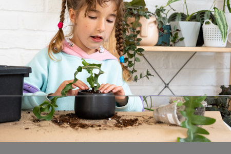 The girl happily takes care of home plants, transplants them into a new soil and pot, embraces the succulent sansivieria, epiphyllum. Hobbies for a child, helping an adult at home, the environmentの写真素材