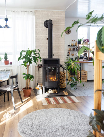 Black Metal Steel fireplace stove with fire and firewood in green home with indoor plant in flower pot in village house. Cozy home hearth in interior with potted plantsの写真素材