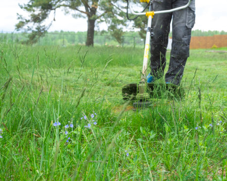 A male gardener mows the green grass of the lawn in the backyard with a gasoline mower. Trimmer for the care of a garden plotの写真素材