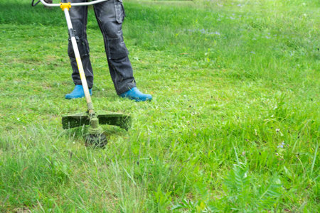 A male gardener mows the green grass of the lawn in the backyard with a gasoline mower. Trimmer for...