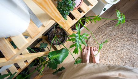 Bare feet florist on a jute rug near shelving with a group of indoor plants in the natural interior. Houseplant Growing and caring for indoor plant, green homeの写真素材