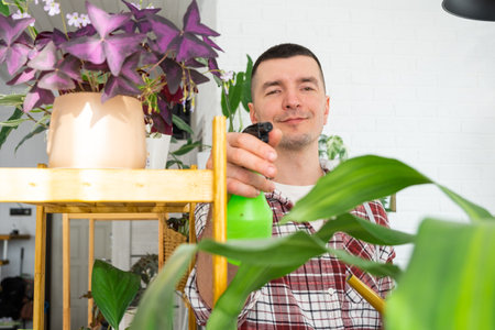 Man sprays from a spray gun home plants from her collection, grown with love on shelves in the interior of the house. Home plant growing, green house, water balance, humidificationの写真素材