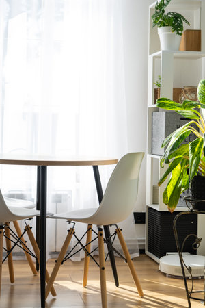 The interior of the house with large windows and home plants round table, chairs, white loft. minimalism, white curtainの写真素材